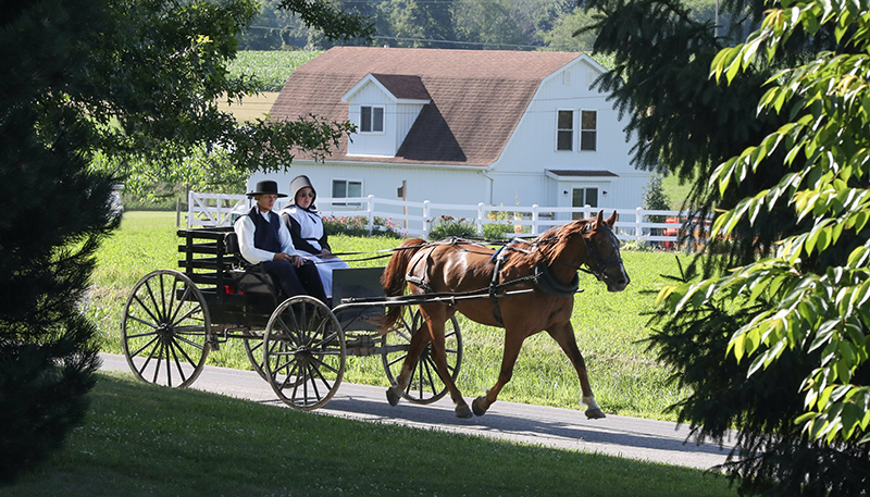 A Day in Amish Country