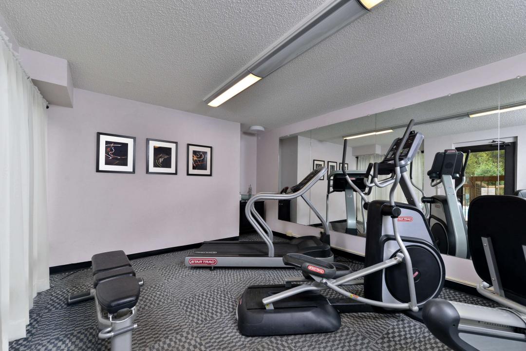 Gym and fitness center